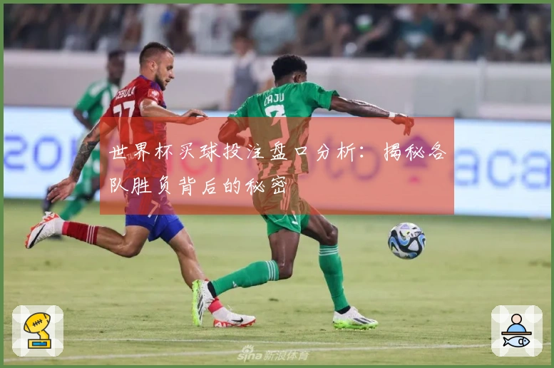 世界杯买球投注盘口分析：揭秘各队胜负背后的秘密
