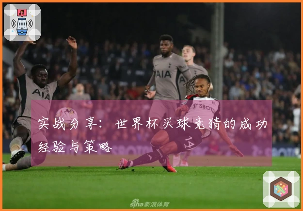 实战分享：世界杯买球竞猜的成功经验与策略