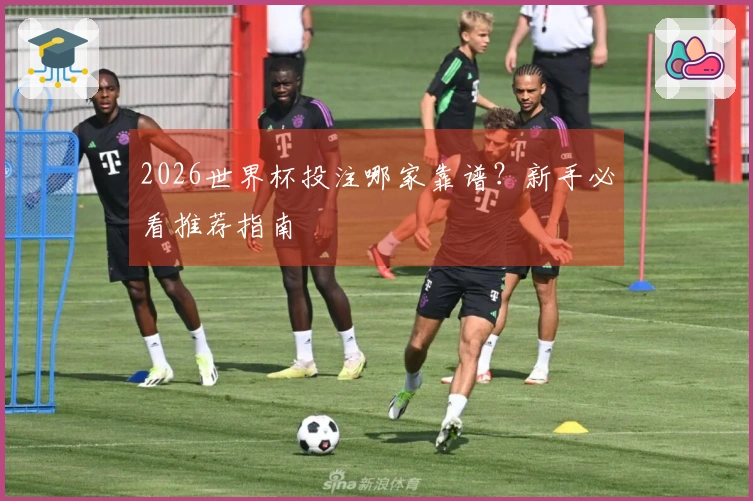 2026世界杯投注哪家靠谱？新手必看推荐指南