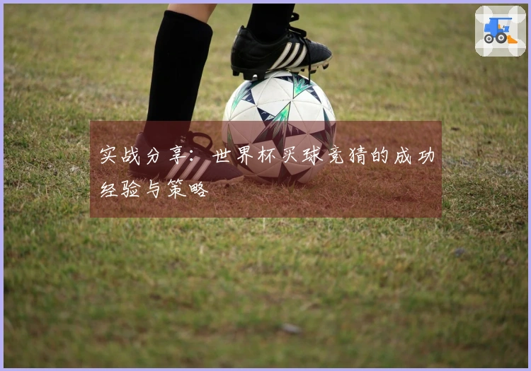 实战分享：世界杯买球竞猜的成功经验与策略